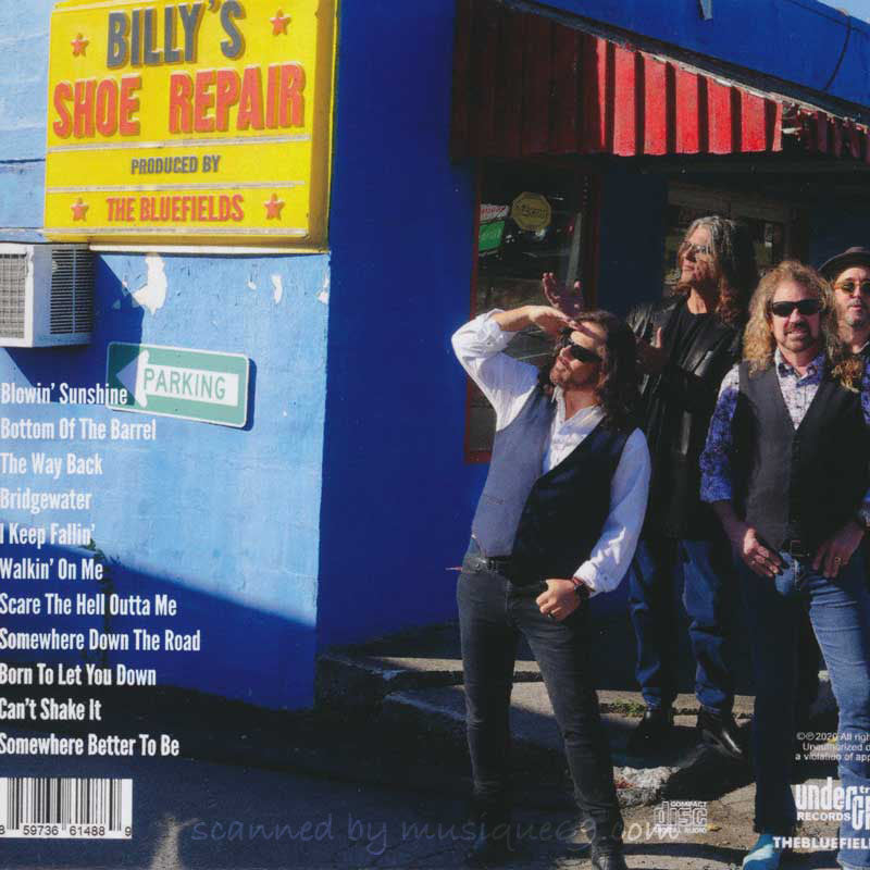 ダンベアード Dan Baird (The Bluefields) - Day in the Sun (CD)