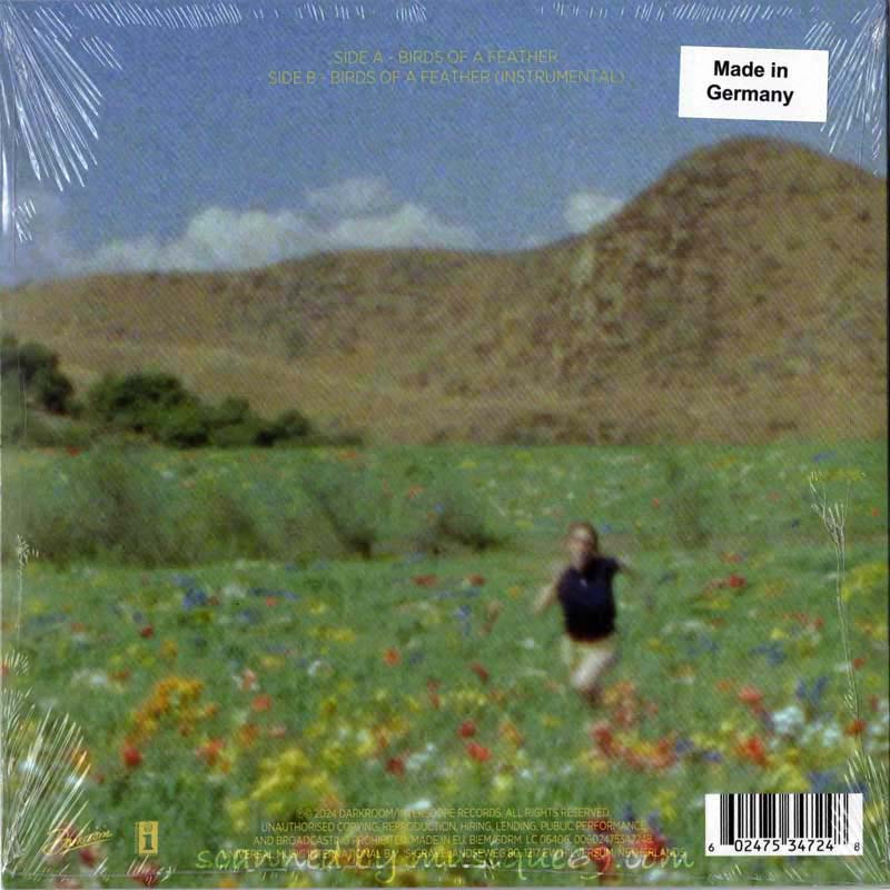 Billie Eilish - Birds of a Feather: Translucent Green Coloured 7" Ep Limited Edition (vinyl)
