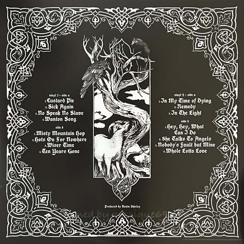 ジミーペイジ Jimmy Page & The Black Crowes - Live at the Greek: D2C Exclusive Electric Smoke Coloured LP (vinyl)