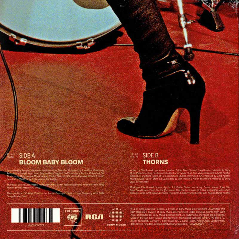 ムジーク・ロック - 洋楽ロック ポップス系アーティストの、近年