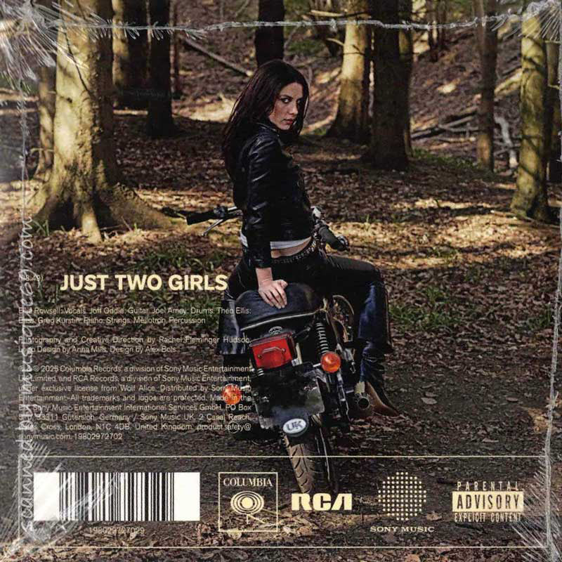 ムジーク・ロック - 洋楽ロック ポップス系アーティストの、近年