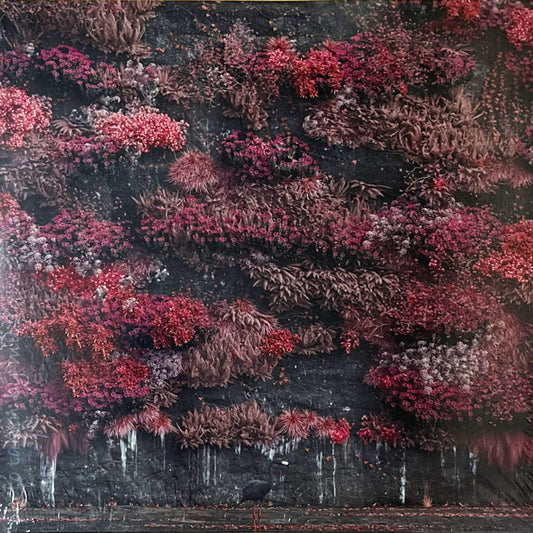 スリープトークン Sleep Token - Even in Arcadia: Exclusive Pink Liquid/ Black, Red Splatter, Magenta Coloured Edition LP (vinyl)