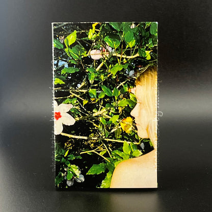 アリスフィービールー Alice Phoebe Lou - Oblivion: Exclusive O-Card/ Red Shell Edition (cassette)